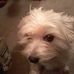 Alan Derrick - Facebook