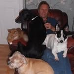 Alan Dewitt - @joking_dog_walker - Instagram