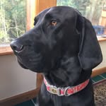 Alan Dial - @dial3913 - Instagram