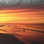Alan Dial - @alan_59 - Instagram