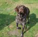Alan Dingle - Facebook