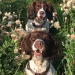 AlanDodds - @alan.dodds - Instagram