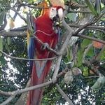 Alandolan Ramirez Cornelio - @alandolanramirezcornelio - Instagram