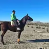 Alan Dominguez - @alan.dominguez00 - TikTok