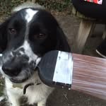 Alan Downing - @downing8255 - Instagram
