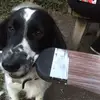 Alan Downing - @alan.downing2 - TikTok