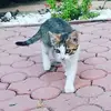 alandrozd432 - @alandrozd432 - TikTok