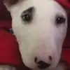 alanduenasflores168 - @alanflores36923 - TikTok
