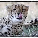 Alan Dunkley - @alandunkley - Instagram