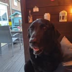 Alan Dyke - Facebook
