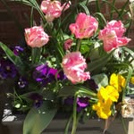 Alan Paul Dyke - @alanpauldyke - Instagram