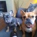Alan Dyson - Facebook