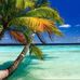 Alan Eckert - Facebook