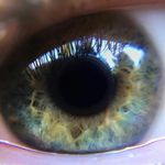 @benjaminalaneckert - Instagram