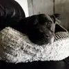 Alan Egan - @alan.egan8 - TikTok