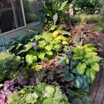 Alan Ehret - @plant_man59 - Instagram