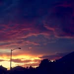 Alan Elkins - @alan_elkins4 - Instagram