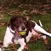 Alan Elkins - @alan.elkins - TikTok