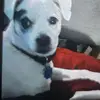 Allen Elkins - @allen.elkins1 - TikTok