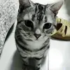 phillip_alan_epps - @phillip_alan_epps - TikTok