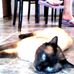 Alan Erceg - Facebook