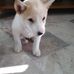Alan Erler - Facebook