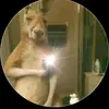Alan Escandon - @alan.escandon8 - TikTok