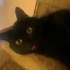 alana - @alana_esparza - TikTok