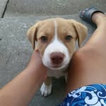 dalila's 🐶Instagram - @alan__esparza__ - Instagram