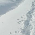 Alan Estill - @alan.estill - Instagram