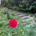 Alan Eugene Jackson private - @alan.eugene.jackson.private - Instagram