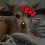 Alanna Evanoff - Facebook