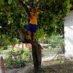 Alan Everson dos Santos nunes - @alaneversondos - Instagram