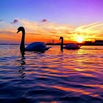 alanewen - @alanewen23 - Instagram