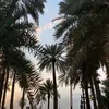 alanezii_rr - @alanezii_rr - TikTok