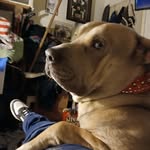 Allan Fager - @fagerallan - Instagram