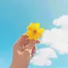 alan falcone - @alan.falcone100 - TikTok