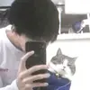 alan falcone - @alan.falcone586 - TikTok