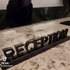Alane Fanelli - @alane.fanelli359 - TikTok