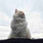 Alan Fanning - @fanning3617 - Instagram