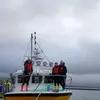 Alan Fanning - @alanfanning707 - TikTok