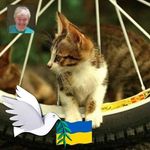 Alan Farr - @alan.farr.96 - Instagram