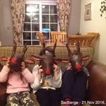 alan farr - @alanfarr100786 - Instagram