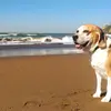 Alan - @alan.farren - TikTok