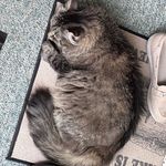 Alan-Margaret Farwell - @almarg250 - Instagram