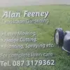 alanfeeney11 - @alanfeeney11 - TikTok