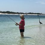 Alane Lee Frauenfelder Vavrek - @alaneleefrauenfelder - Instagram