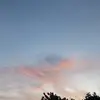 alan feoh - @alan.feoh01 - TikTok