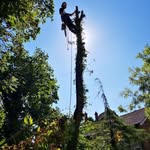 Alan Finch - @goingspare33 - Instagram