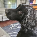Alan Finch - @avfinch4 - Instagram